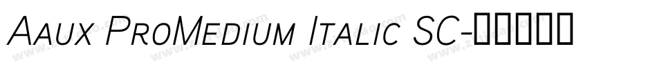 Aaux ProMedium Italic SC字体转换